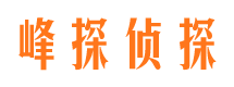 宁明市私家侦探